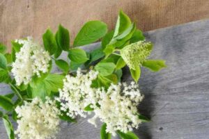 b3f543549bdb002677743dc239c46d90