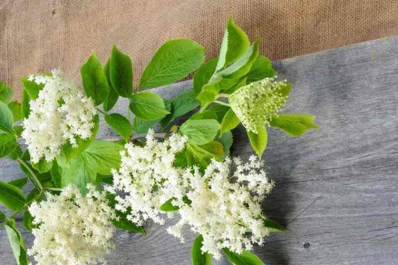 b3f543549bdb002677743dc239c46d90