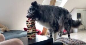 dfdd37df e605 4eb7 885c 3a655e079c86