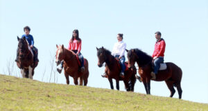 konjicki klub mango konji