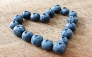 koza mladost 12 696x431 1