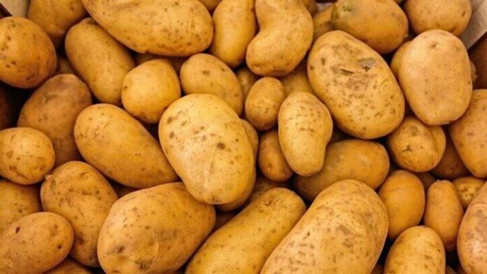 potatoes 411975 960 720 252408 725x407 1 potatoes 411975 960 720 252408 725x407 1