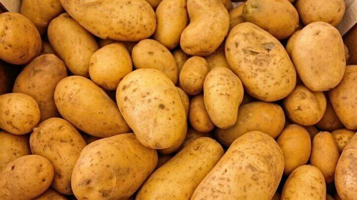 potatoes 411975 960 720 252408 725x407 1