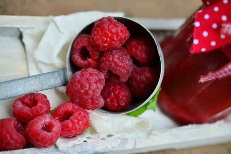 raspberries 2431029 1920 750x500 1