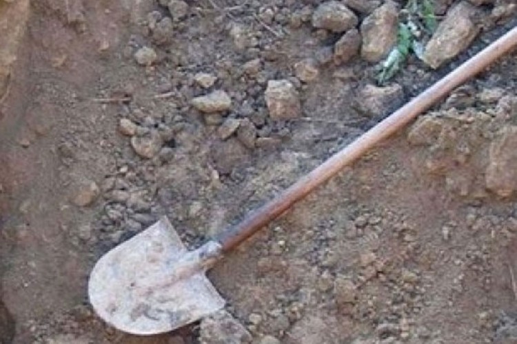 20210615122826 666719