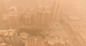 20210617 2 48807779 66183372 Web