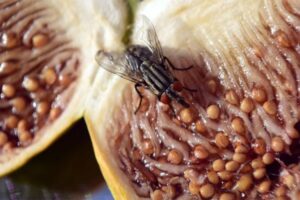 20210625113808 668380