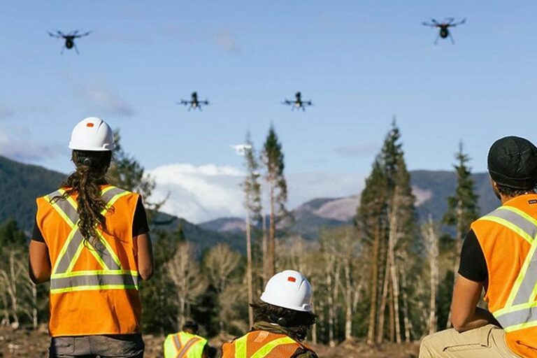 Dronovi će za osam godina zasaditi milijardu stabala