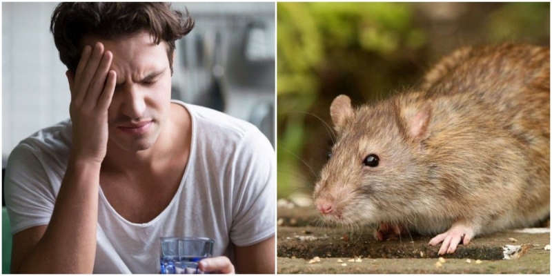 7ce90f2884d95d287b103b0b8b7245f4