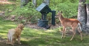 9686a23e2fea2d44aec2b36d7ba53e51