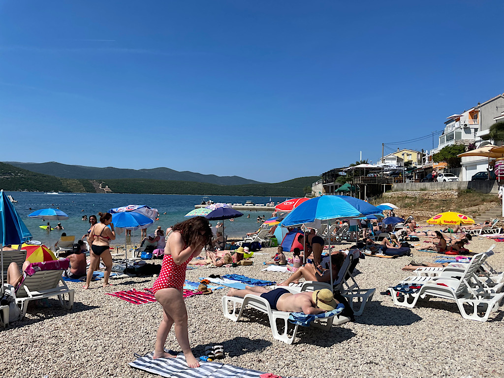 C8F8E3ED 7D88 4254 BAF0 BA031D145C0B