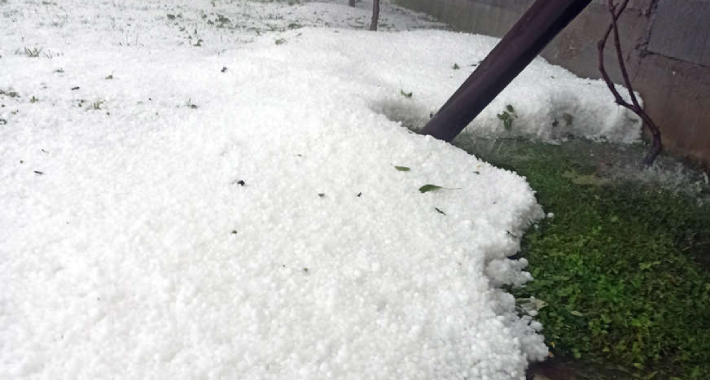 E1BFC266 DD33 4DA1 9B4D C5C289715071