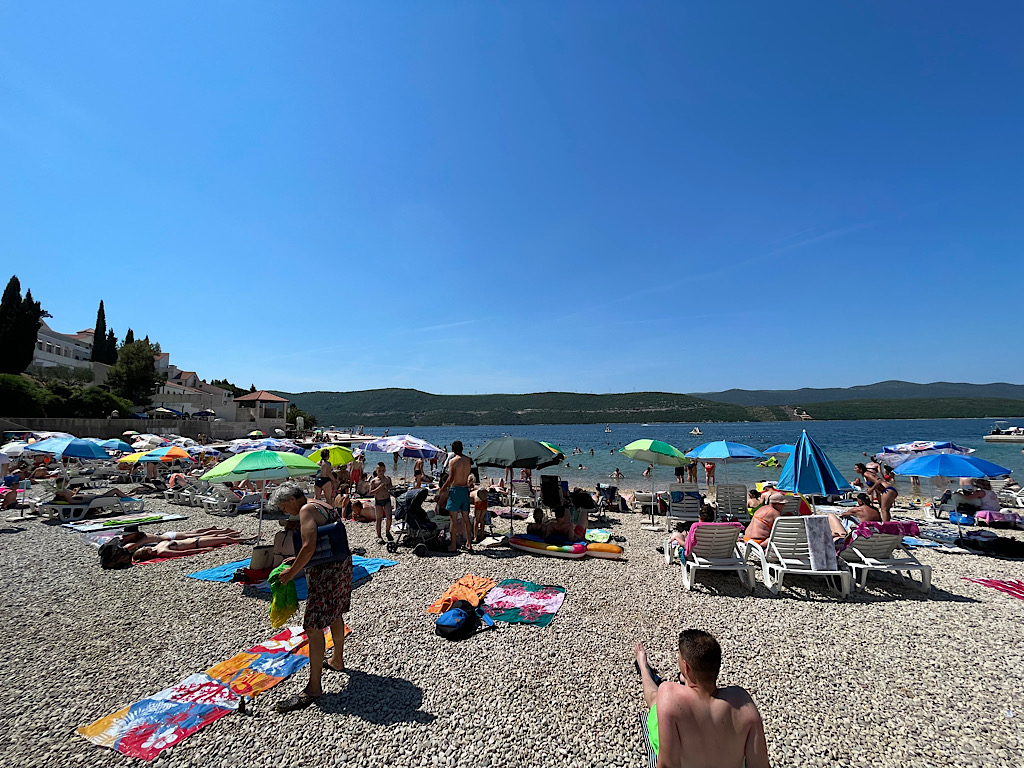 E2B66BFA 1588 41CC ADD1 3C1AA69CE8D5