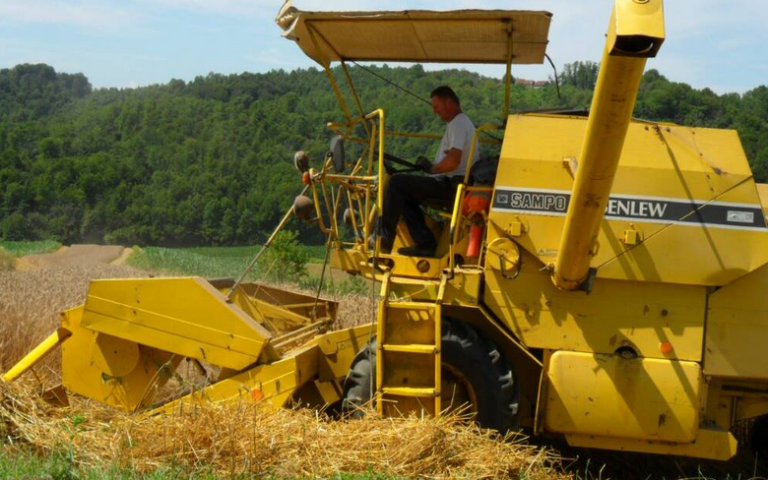 Kako zaštititi usjeve od vrućina i kakav rod je moguće očekivati?