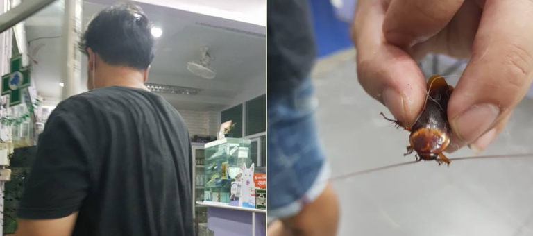 Veterinar u nevjerici: U veterinarsku stanicu donio žohara na pregled