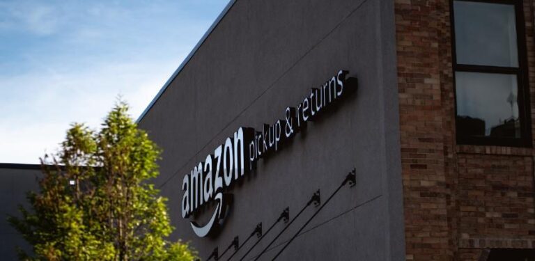 Profesorica Zaimović: Amazon je razvojna šansa za domaće kompanije