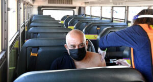 bus