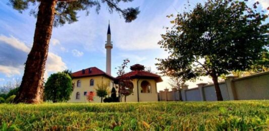 ccf3752478ef87dc4e7f8a40a9f4ee29