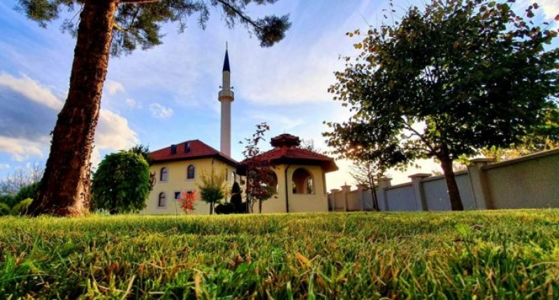 ccf3752478ef87dc4e7f8a40a9f4ee29