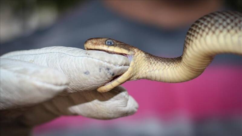 dd60ea73c56b31ace08a14828f55d010