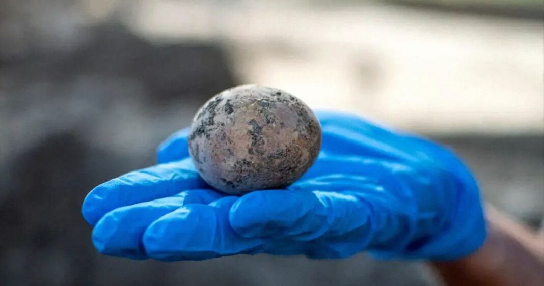 izrael arheolozi jaje 1000godina haaretz