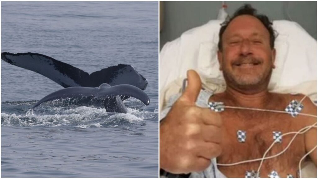 kit ronilac epa prtscr