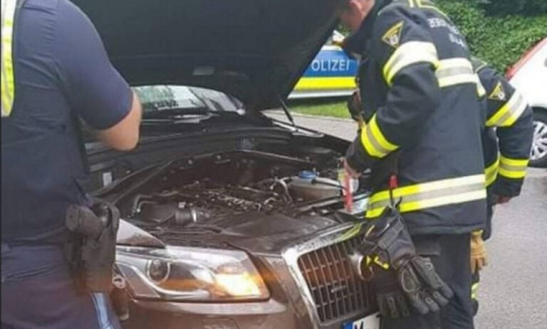 Bosanac ispod haube iz Živinica u Minhen prevezao zmiju