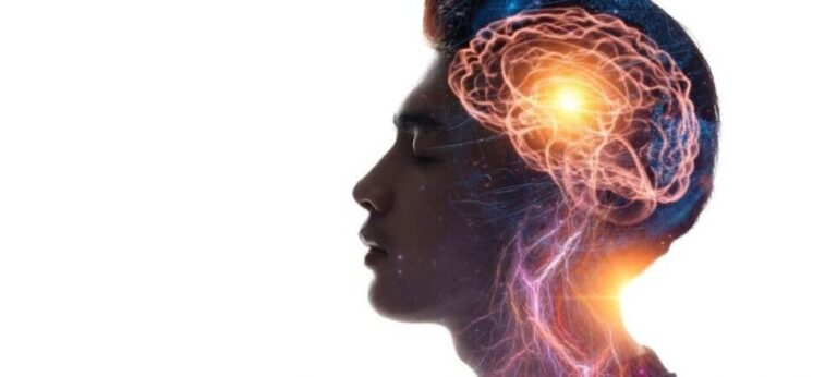 Muški mozak ima puno zajedničkog s testisima