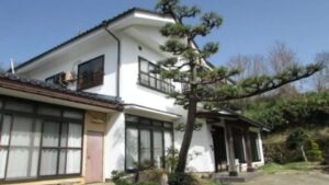 nagano japan kucenaprodaju vice