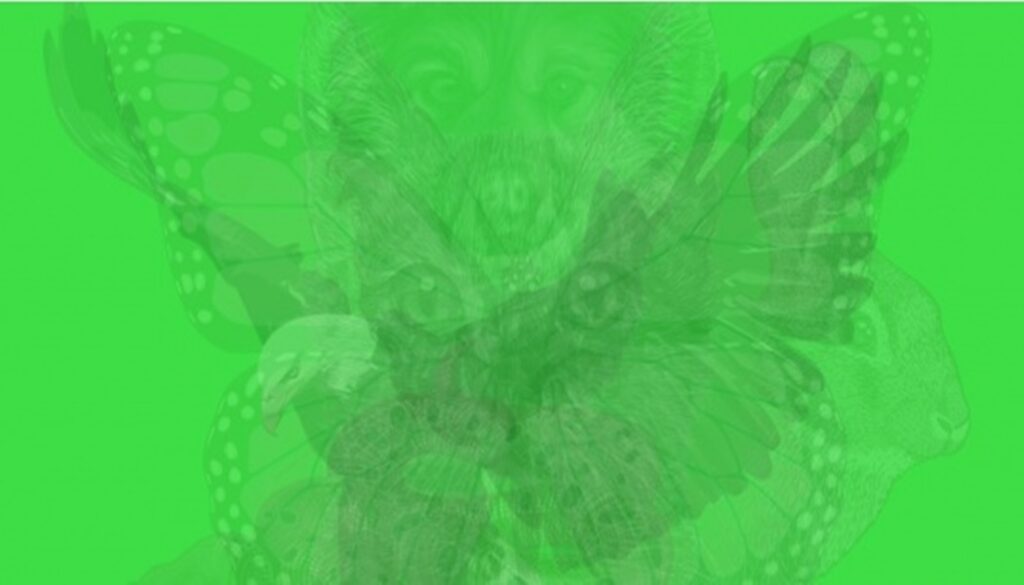 preview 6851310 650x341 98 1540213979