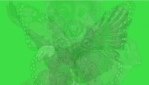 preview 6851310 650x341 98 1540213979