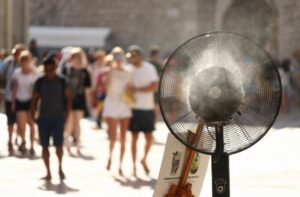 vrucina 249832 725x476 2