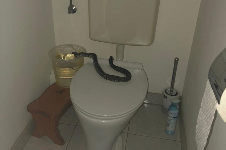 15B9D379 EDFD 44CD 8158 35BD63DCEEE4