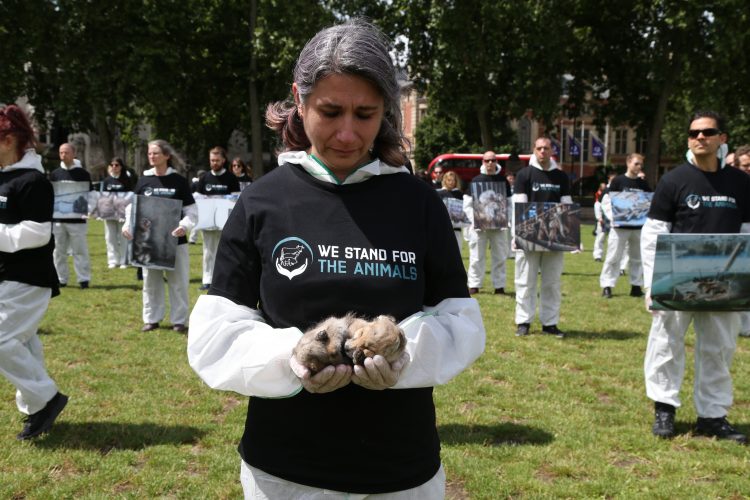 20210704 2 49051838 66693507 750x500 1