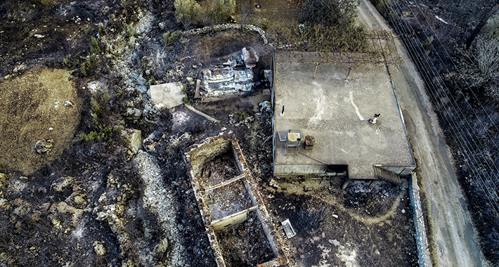 20210731 2 49413072 67483080 Web