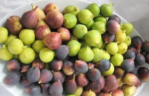 33952d71b55fb5eb9531b93e57e64267