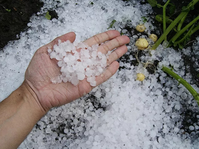 4512B0DE 2082 479F 82DD 67F4C82B88B8