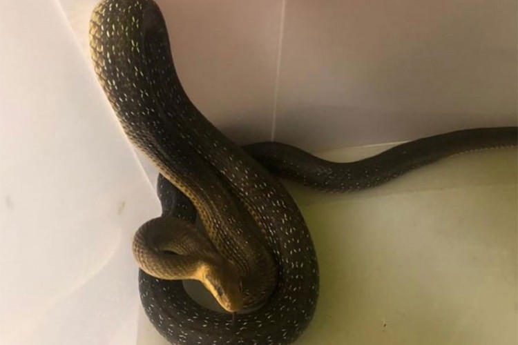 4DABD7B4 1F95 41CF A661 48918ADCA5AA