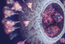 5fabd4fa cfd4 45b1 8d08 69af0a0a0a78 korona virus preview