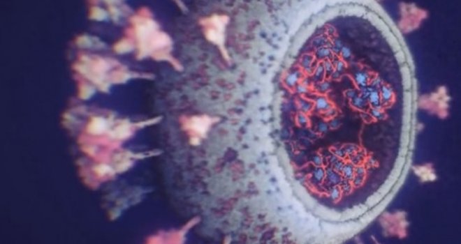 5fabd4fa cfd4 45b1 8d08 69af0a0a0a78 korona virus preview 5fabd4fa cfd4 45b1 8d08 69af0a0a0a78 korona virus preview
