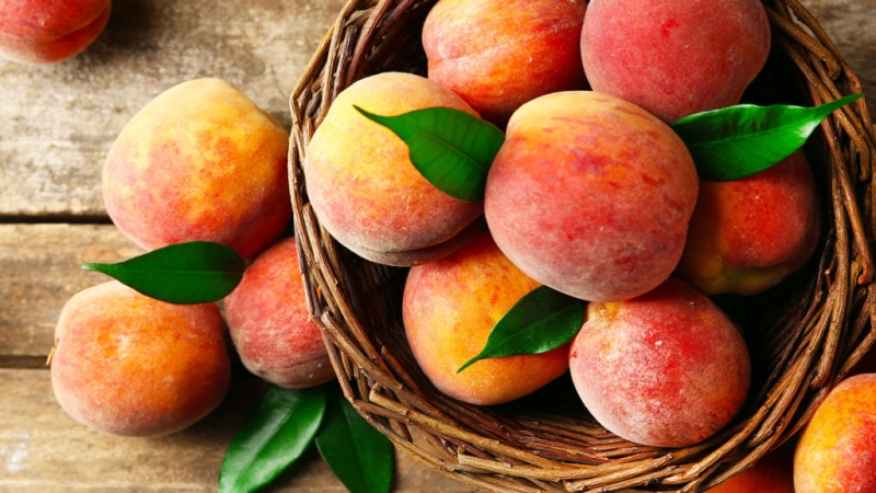 61f7f79b2d89c1d9cb0b94e86621fe83