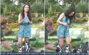 7FB8082F 2522 4018 872B F304006E5970