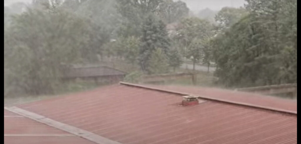 8727F52D 5147 4802 9759 EBB9EBB4BFAF