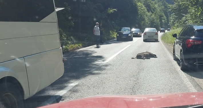 97A795B1 0077 44BA B71F D190258E3E50