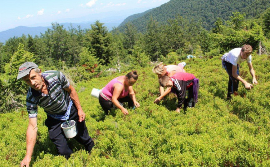 D8723D34 23A9 43AD A195 4456D557051B