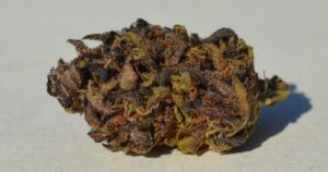 Marihuana Sexxpot 1 1200x630 900x473 1