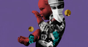 cover final Igor Vujcic BIRN 1