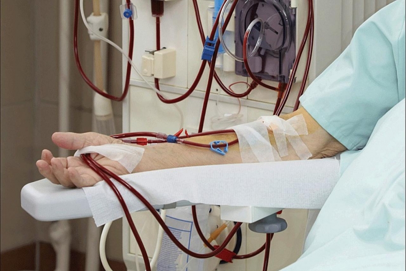 e6e63aabe9404c5de8c5c2a5e786d6c4