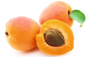 kajsija kajsije media