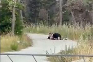 seks na putu 1 696x464 1